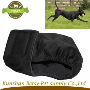 вновь прибывших собаку в сезоне подгузник