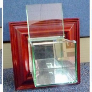 Настенная витрина для бейсбола