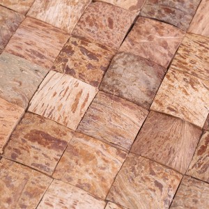 Креативный дизайн натуральной кокосовой раковины мозаика настенные плитки