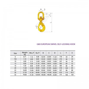 G80 Поворотный самоблокирующийся защитный крючок с росписью