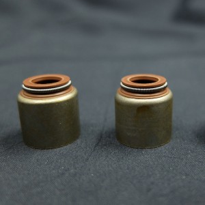 Китай поставщик сальник штока клапана для автомобилей Renault