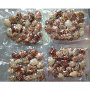 ВАКУУМНАЯ ОБОЛОЧКА