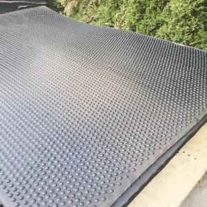 Выпуклые точки не плотные