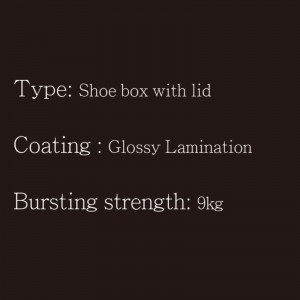 Обувная коробка с крышкой Type1