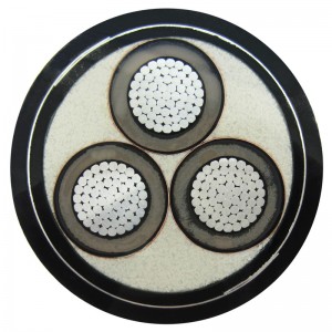 Экранированные и концентрические нейтральные кабели среднего напряжения для воды и морского дна CSA C68.5