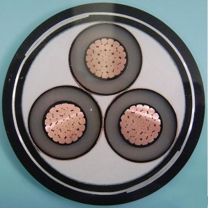 1-30KV 6 мм 3-жильный Swa бронированный кабель IEC60502, SANS 1339, BS 6622, AS / NZS1429.1, NFC 33226, CSA C 68,5