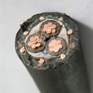 Кабель с воздушной изоляцией, концентрический с изоляцией из сшитого полиэтилена, изоляция 3x10 мм2, стандарт ASTM IEC BS