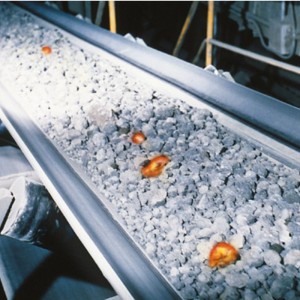 Теплостойкая конвейерная лента