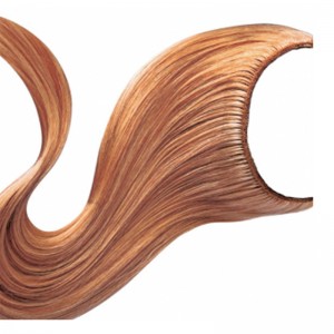 Проволока Удлинитель-Корона 06