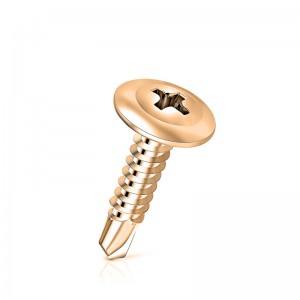 Самосверлящие винты с головкой фермы Modifer