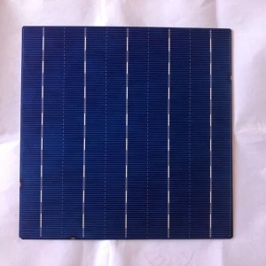 Поликристаллическая ячейка