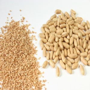 Арахисовая Измельчитель / Peanut Dry De Chopper