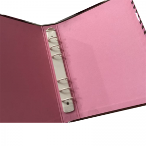 Красивые нестандартные конструкции Картон 6 Кольцо-переплет