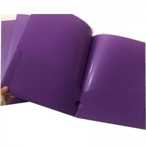 PP расширяющая папка с файлами / 2 Pocket Folder