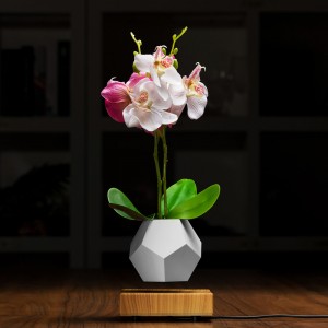 магнитная левитация плавучая установка горшок с воздухом бонсай PA-0708