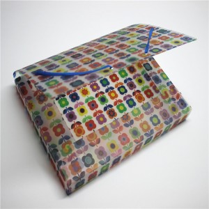 Папка-папка из пластика PP с резинкой