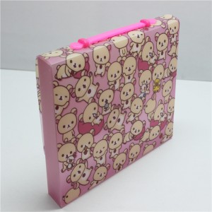 Папка на заказ из пластикового файла