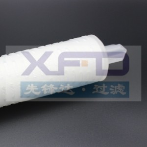 Патрон фильтра плиссированный --- RFG