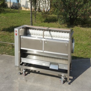 Новый тип QX-818 Очиститель фруктов / Машина для очистки фруктов / Машина для очистки щеток для фруктов