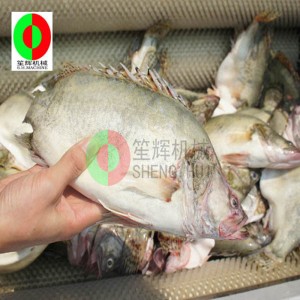 Машина для очистки плодов дыни / Машина для очистки плодов дыни / Машина для чистки щеток для фруктов дыня QX-612 new