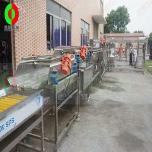 Большая производственная линия по очистке и нарезке овощей и фруктов