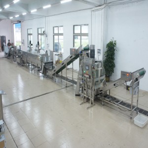 Производственная линия по уничтожению большого лука-порея