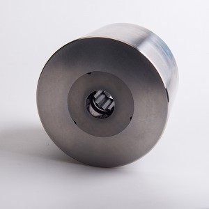 прессформа винта рубрики вольфрама карбида высокой точности холодная главная