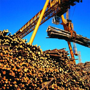 Портальный кран с грейфером