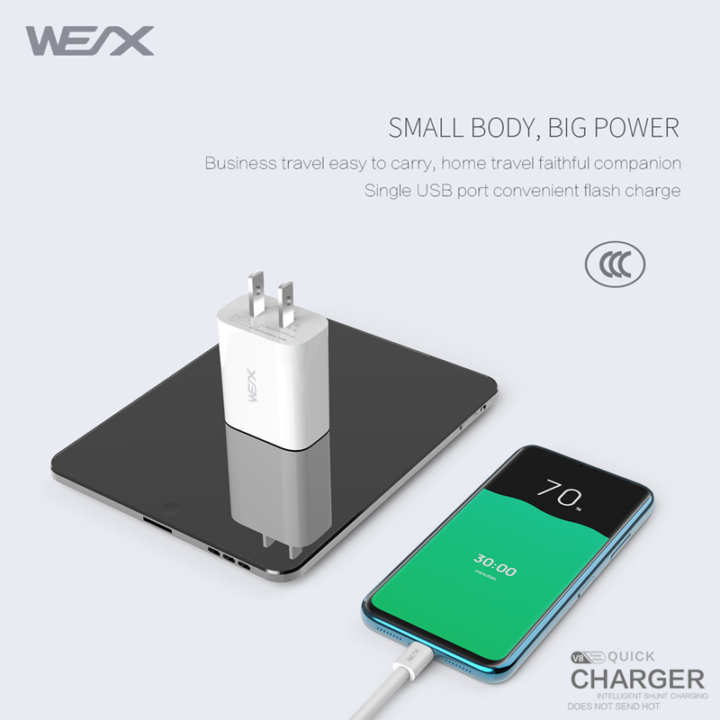WEX - V8 дорожное зарядное устройство, настенное зарядное устройство, адаптер питания