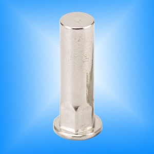 Полукруглый корпус с плоской головкой