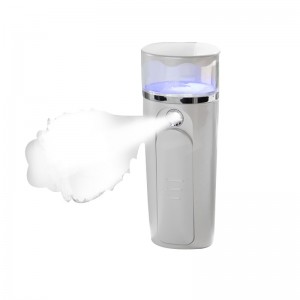 Nano Sprayer Face Steamer Увлажнитель для лица Мини-распыление Увлажняющий увлажняющий USB Аккумуляторный косметологический прибор для уход...