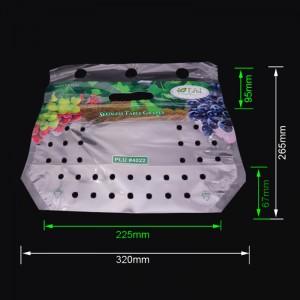 Экологичный печатный пластиковый пакет с ziplock и виноградом с вентиляционными отверстиями