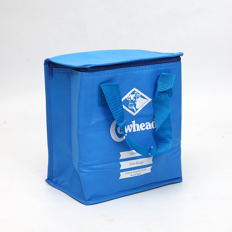 SGC30 Оптовая Дешевая Рекламная Цена Recyclable Пользовательский Логотип напечатан Бакалея Tote Изолированные Сумка-Холодильник