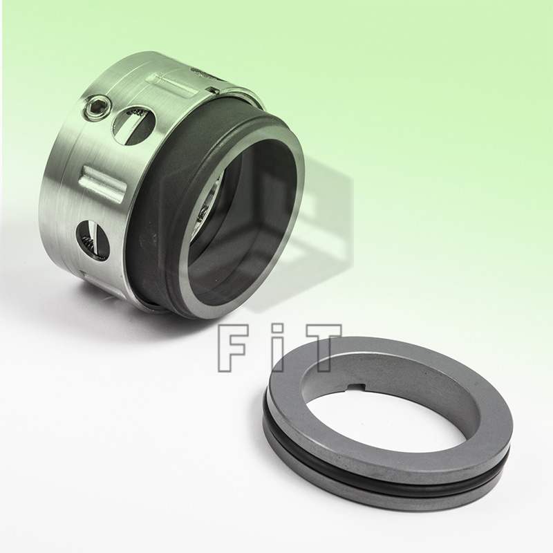 многопружинное уплотнение FT8B1,8BT