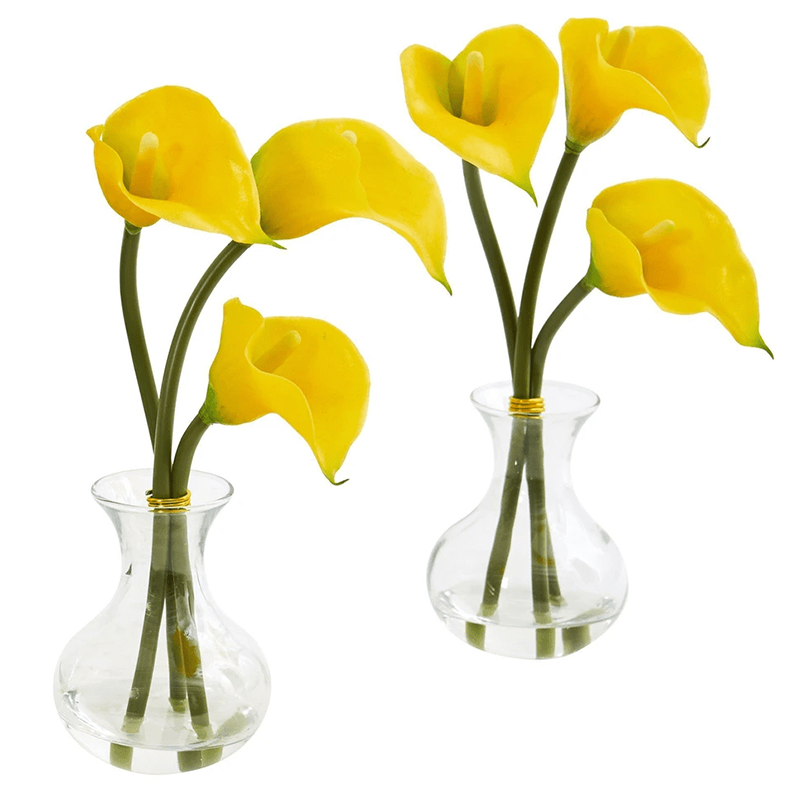 штат Огайо - 200023