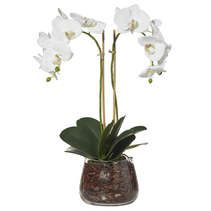 штат Огайо - 200026