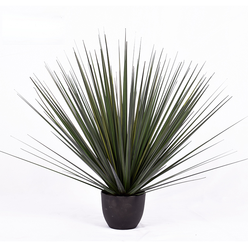 OH 1090200001 / OH1090200002 / OH1090200003