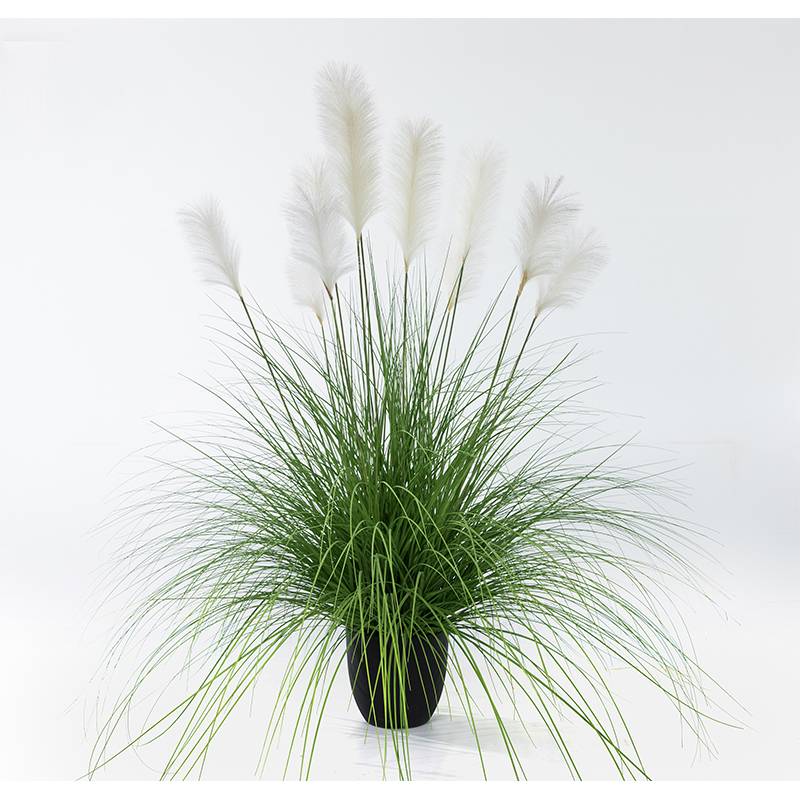 OH1090200017 / OH1090200018