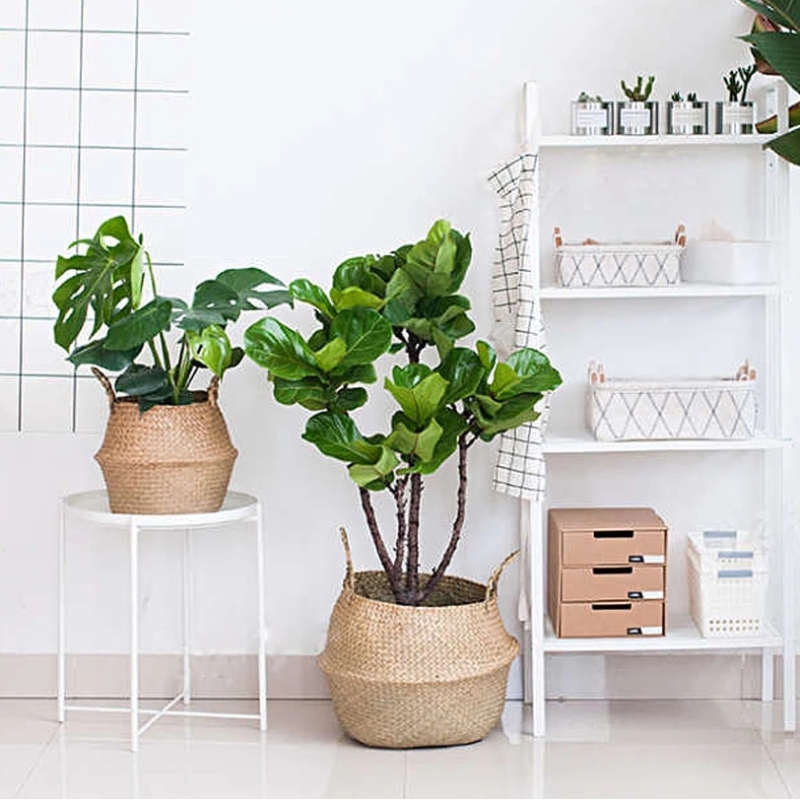 Подставка для растений плетеная из брюшка из морской травы для хранения подвесных корзинок из морской травы