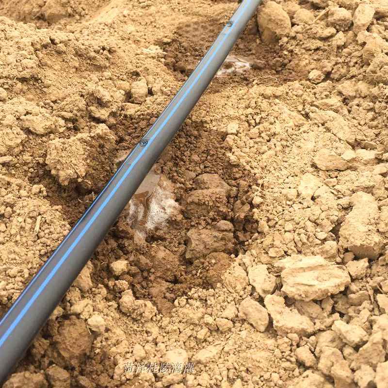 Каковы основные компоненты системы капельного орошения?