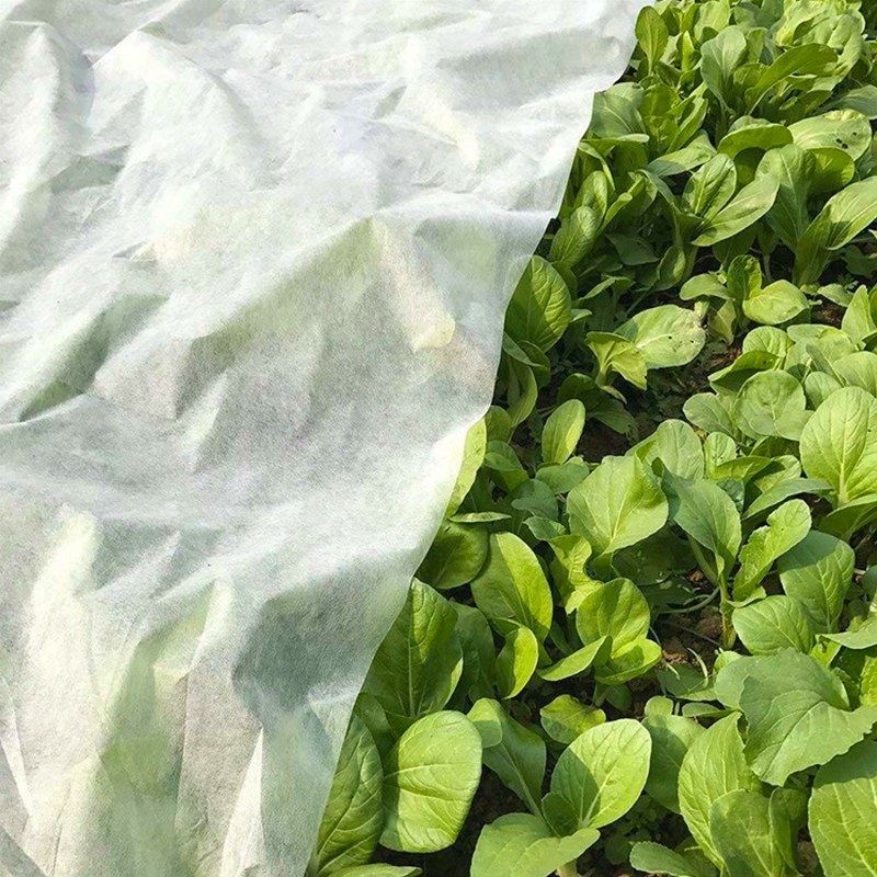 Засад геотекстиля крышки земледелия Нонвовен ПП растет ткань сумок для продуктов сада