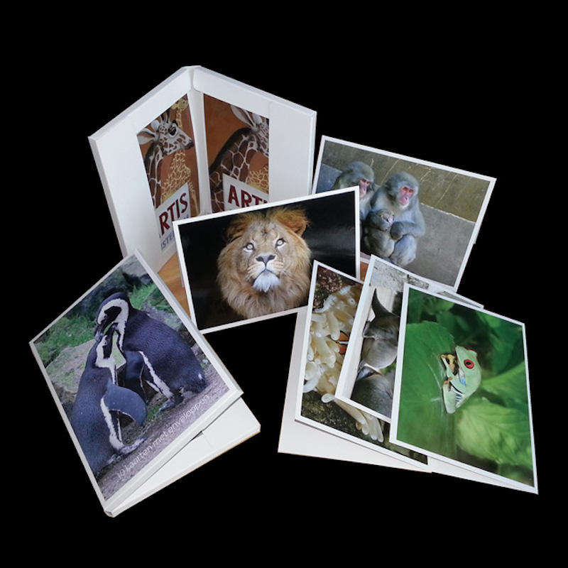 открытки, открытки, конверты.туристский сувенир