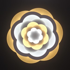 AC805 потолочный светильник