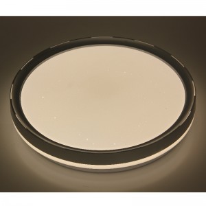 CX236 Потолочный светильник