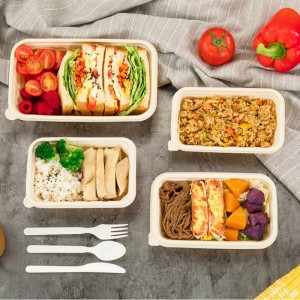 Экологически чистые одноразовые контейнеры для хранения пищевых продуктов квадратной формы, экологически чистые, биоразлагаем...