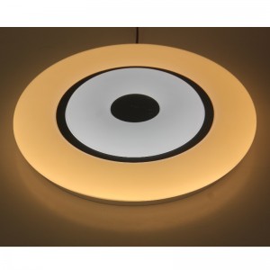 CX369 потолочный светильник