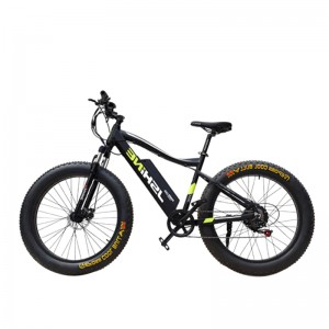 S1 - X2 Ebick