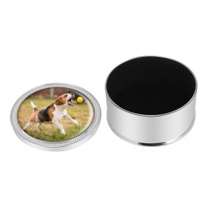 Металлическая урна для праха собаки