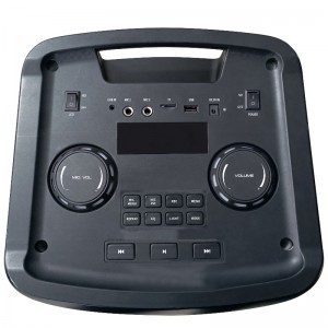 FB-PS210 Дизайн Bluetooth Партийный динамик с RGB LED Flame Light