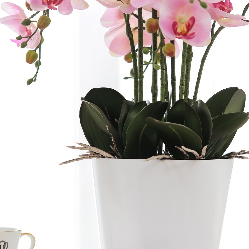 Реальная коснутая горшечная искусственная орхидея на продажу